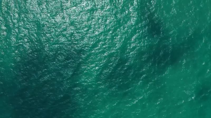 Back to Barbados · Original Promotional Video